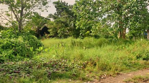 231 sqm Residential Lot for Sale in Rosario Heights, Bacolod, .